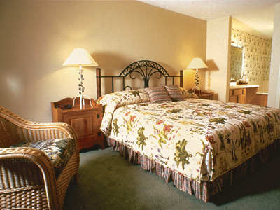 Pigeon Forge TN Cabin Rental
